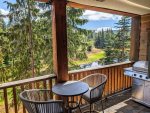 Gas BBQ and seating for two on the balcony overlooking Collins Lake.